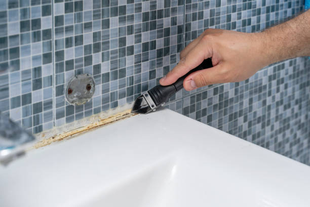 Best Mold Cleaning Services  in Lancaster, PA