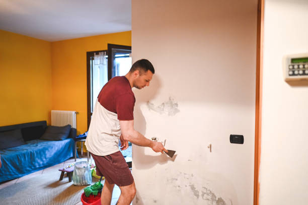 Certified Mold Removal in Lancaster, PA