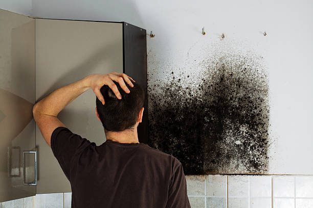 Best Residential Mold Removal  in Lancaster, PA